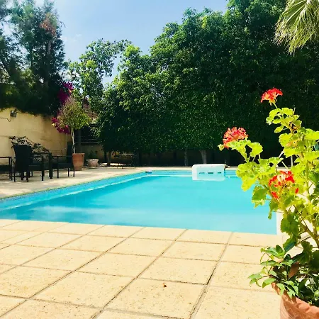 Pool Side Βορόκλινη